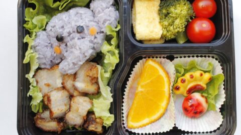 16 Easy Box Lunch Ideas: Delicious and Nutritious Meals for Every