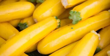yellow squash dinner recipes