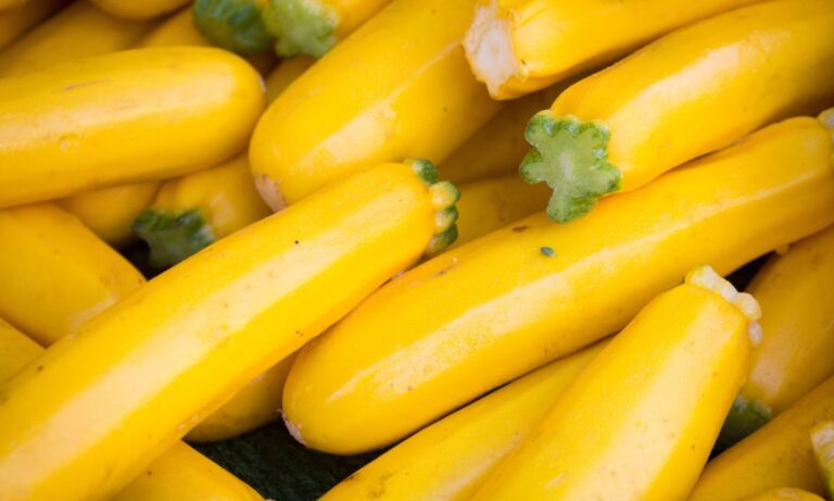 yellow squash dinner recipes