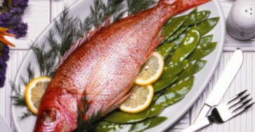grilled red snapper recipes
