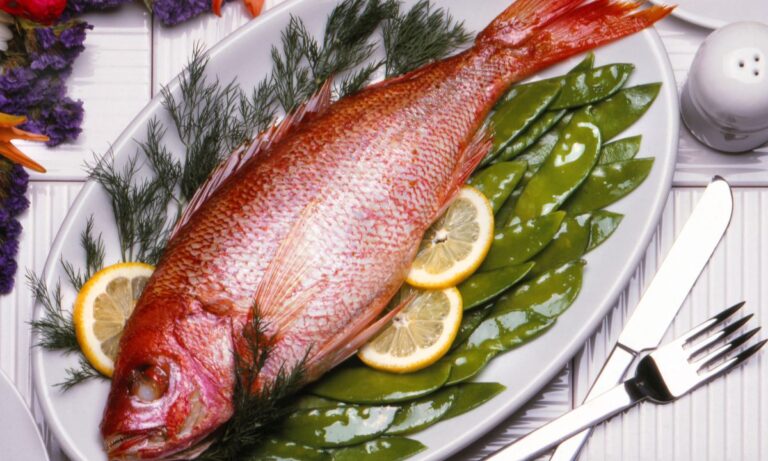 grilled red snapper recipes
