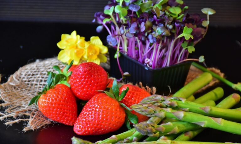 Fruits Grown in Spring Season
