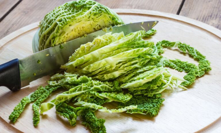 Savoy Cabbage Recipes