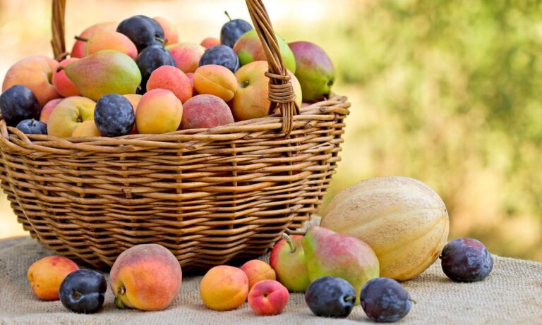 fruits we eat in spring season