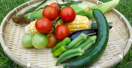 vegetables in summer season