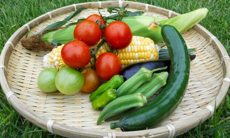 vegetables in summer season